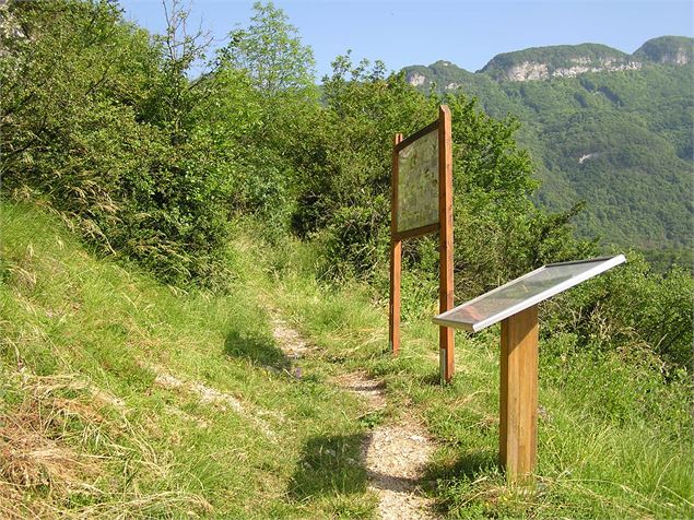 Sentier Lac et Marais de St Jean de Chevelu - OT de Yenne