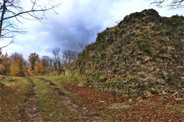 Chateauneuf à Songieu - E.BEBI