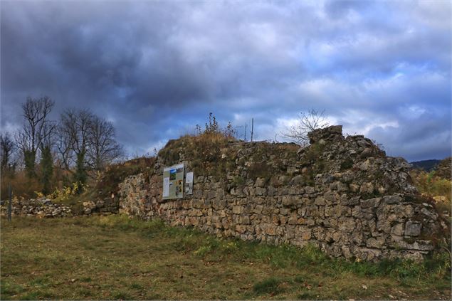 Chateauneuf à Songieu - E.BEBI