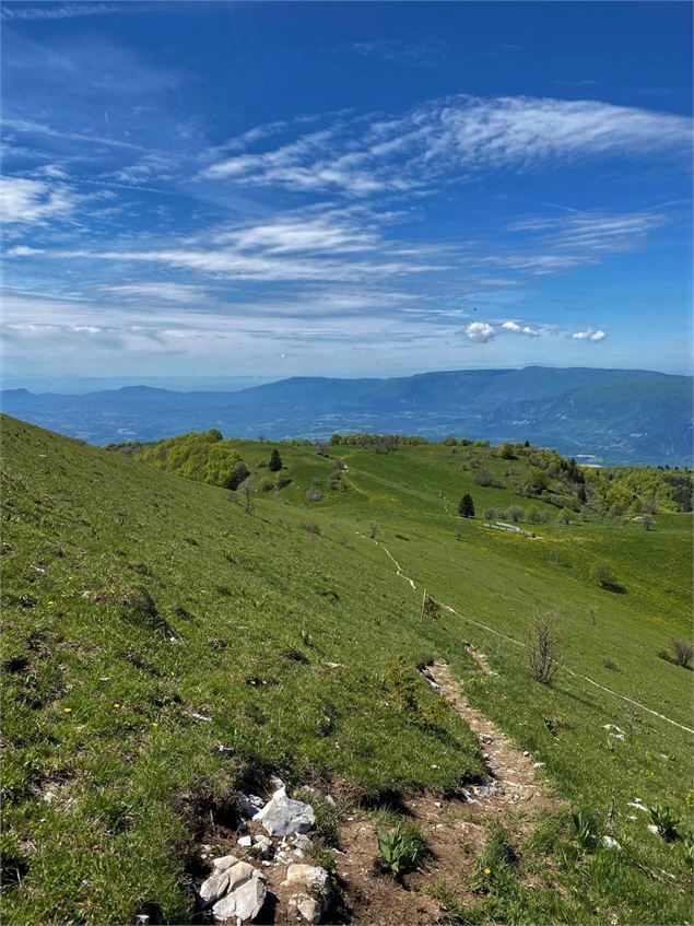 Sentier sur le Grand Colombier - Maxime Ballet