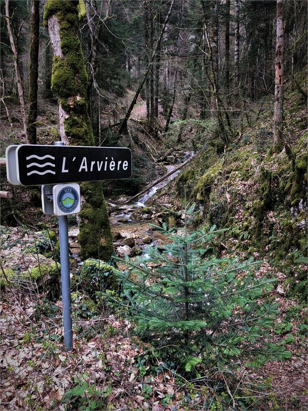 Rivière Arvière - Massif du Grand Colombier - ©Maxime Ballet