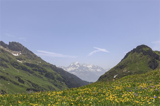 Cormet d'Arêches - S.Cardon-LeBeaufortain