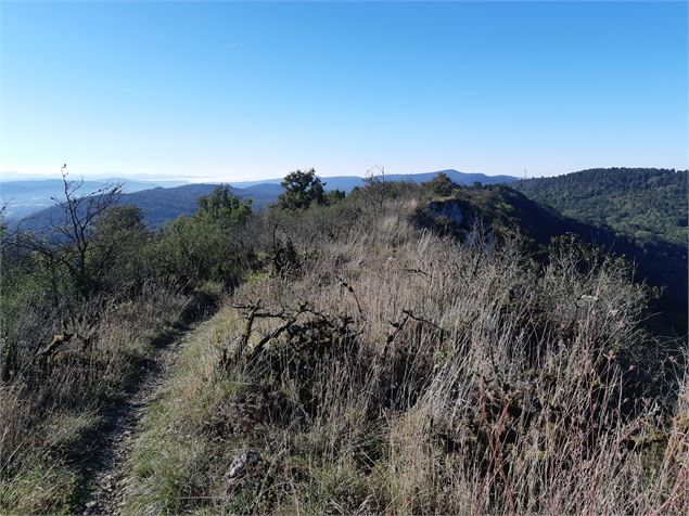 Crête de la Cabatane - scalland