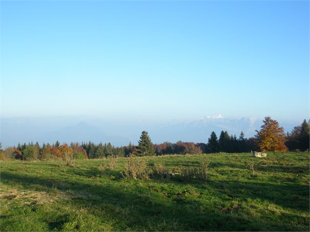vue Salève 1 - SavoieMontBlanc-Martelet