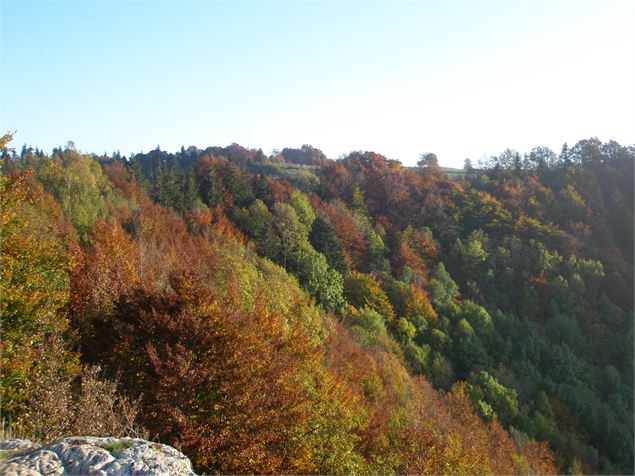 vue Salève 2 - SavoieMontBlanc-Martelet