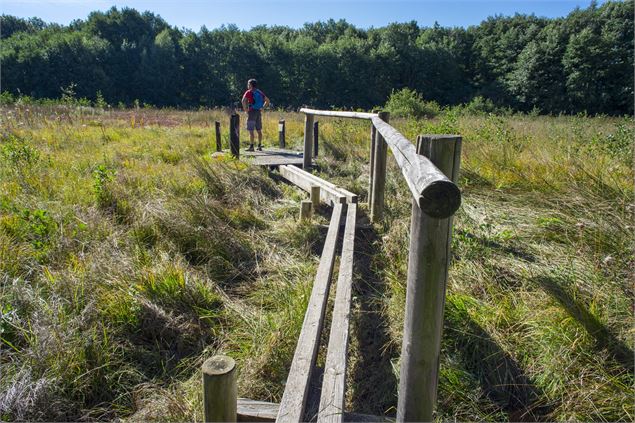 Sentier sur pilotis du géosite du marais du Maravant - SIAC / A.Berger