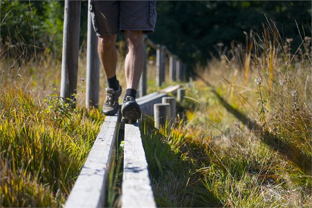 Sentier sur pilotis du géosite du marais du Maravant - SIAC / A.Berger