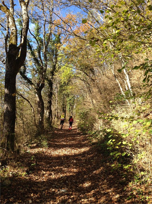 Chemin de randonnée sur Le Grand Colombier depuis Culoz - Maxime Ballet