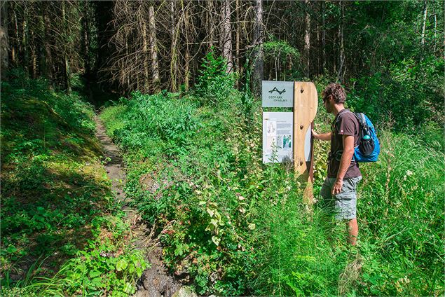 Géosite de la forêt ivre à Vailly - SIAC - A.Berger