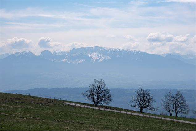 Alpage du Plan - Syndicat Mixte du Saleve