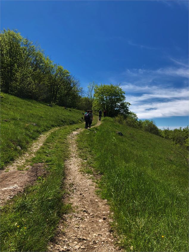 Sentier du Maquis en direction de la ferme de Morez - Office de Tourisme Bugey Sud Grand Colombier