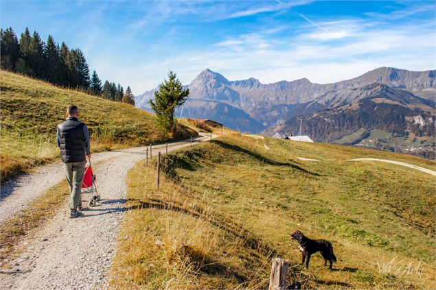 Itinéraire poussette à Crest-Voland / Cohennoz - Chemin des Chalets brûlés - Office de Tourisme du V