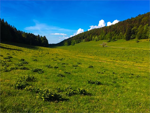 Combe du cimetière - Col de la Biche - Crêtes d'Hergues - Maxime Ballet