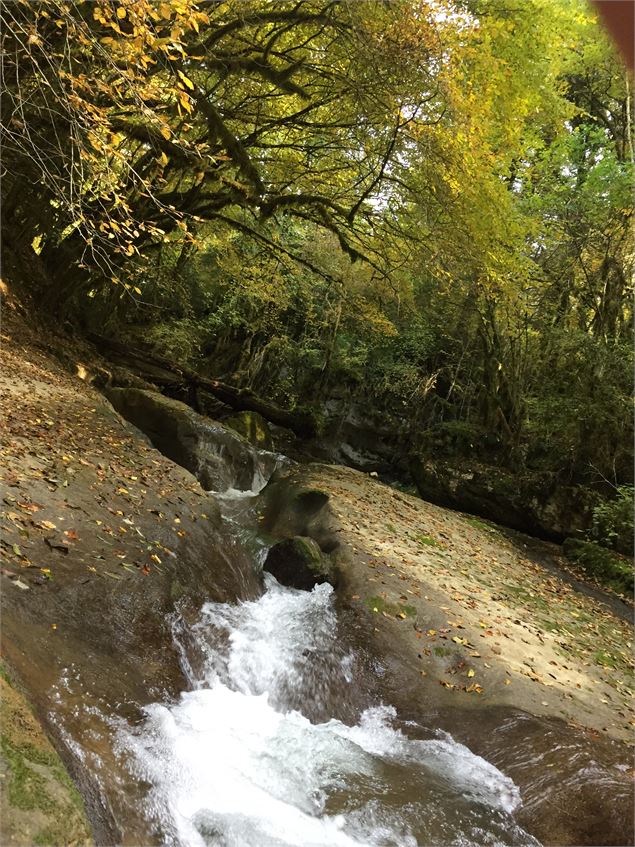 L'Arvière - Maxime Ballet