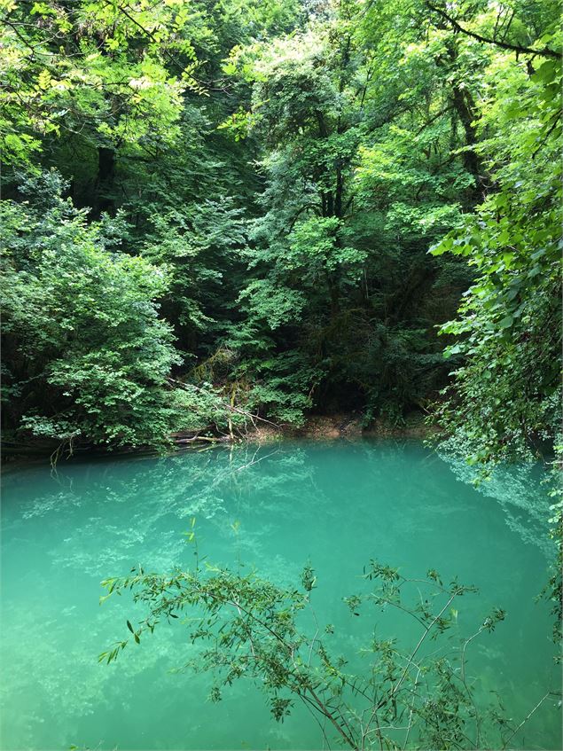 La source du Groin - Maxime Ballet