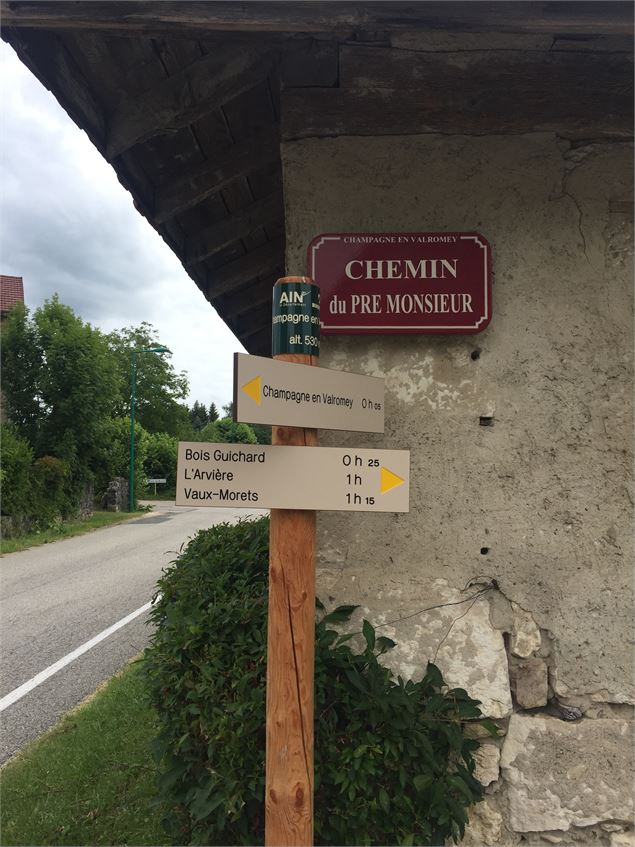Chemin du pré Monsieur à Champagne-en-Valromey - Maxime Ballet