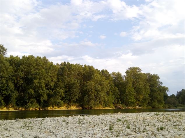 rives de la rivière d'Ain - Marilou Perino