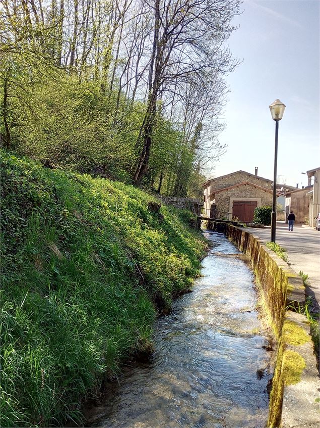 Ruisseau du Gardon - S.Megani