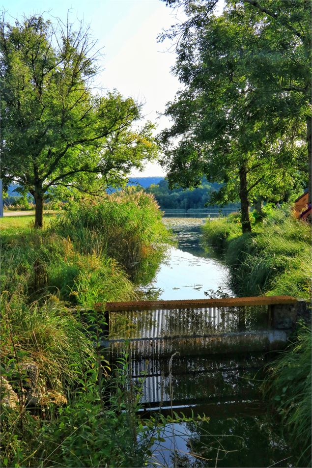 Lac de Barterand - Office de tourisme Bugey Sud Grand Colombier