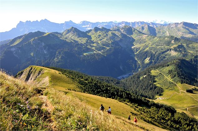 Montée sur la crête de Coincon - Patrick Brault