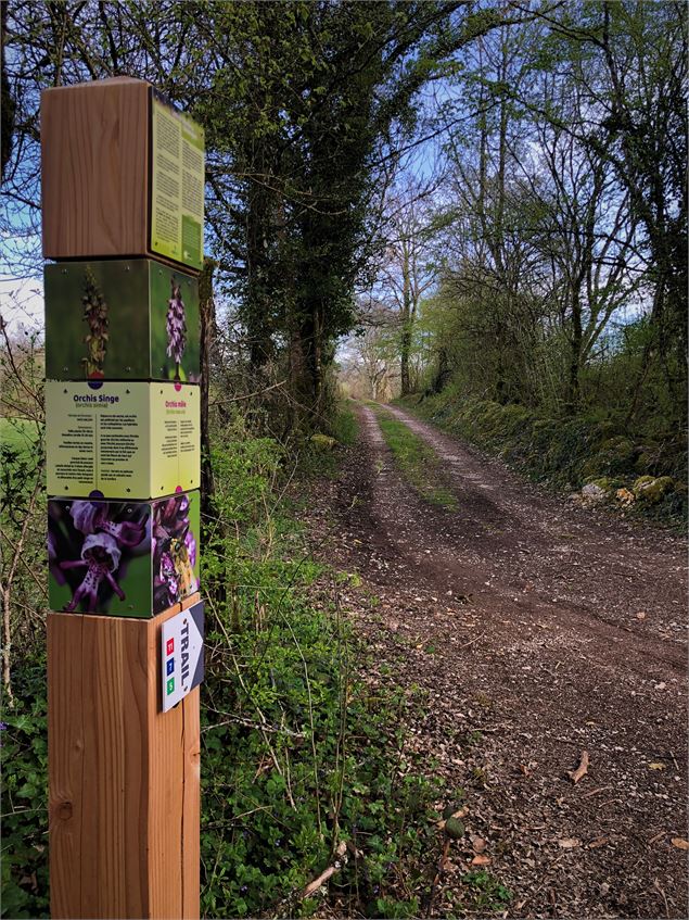 Balisage de l'espace rando trail de Contrevoz - © Rando Running Contrevoz