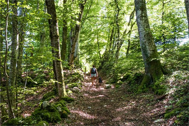 sentier - Office de Tourisme Thônes Coeur des Vallées