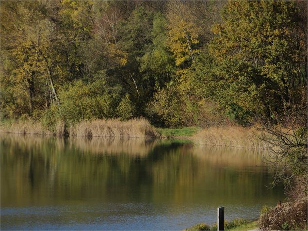 Lac des Ilettes en automne - photo sous licence creative commons https://creativecommons.org/license
