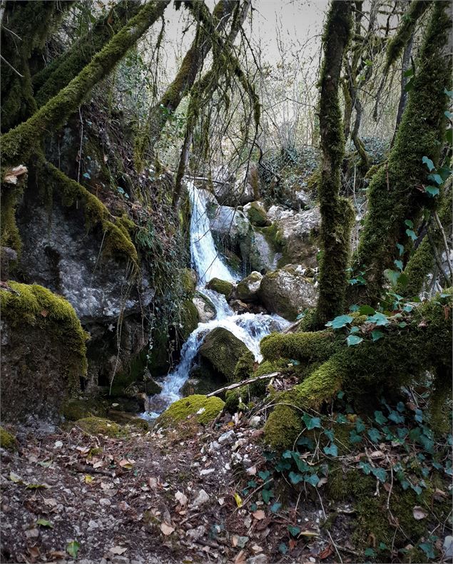 Cascades de la Magnine à Culoz - Maxime Ballet