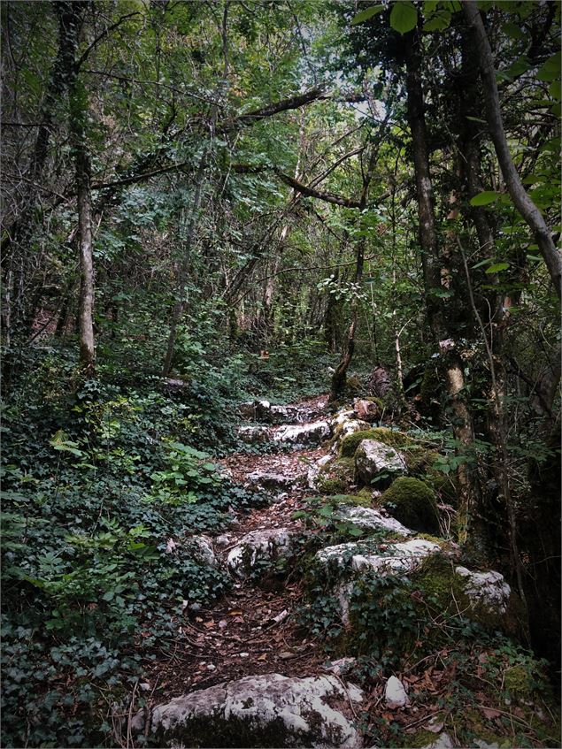 Circuit des cascades de la Magnine à Culoz - Maxime Ballet