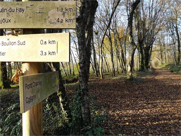 Balade autour de Pirajoux - scalland