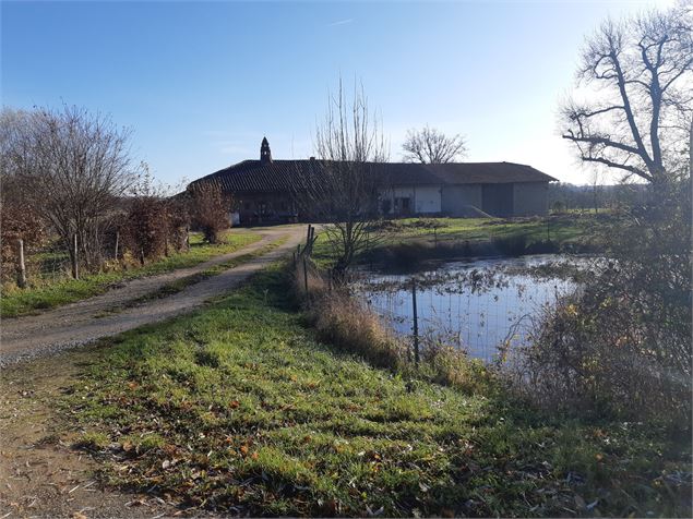 Sur les chemins de St Didier d'Aussiat - scalland