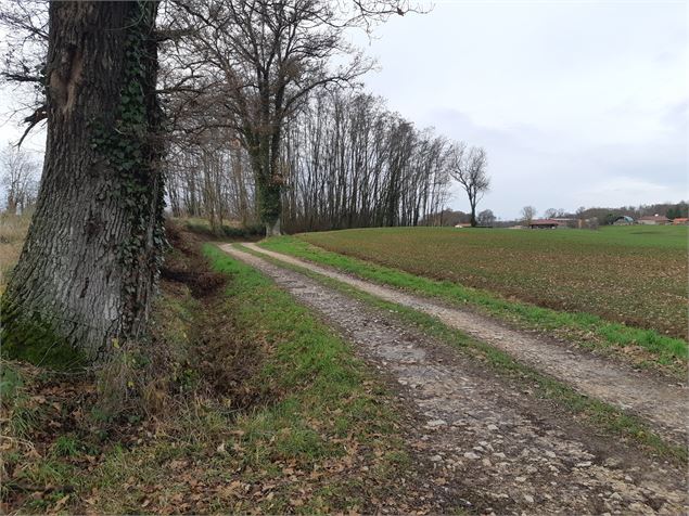 Sur les chemins de St Didier d'Aussiat - scalland