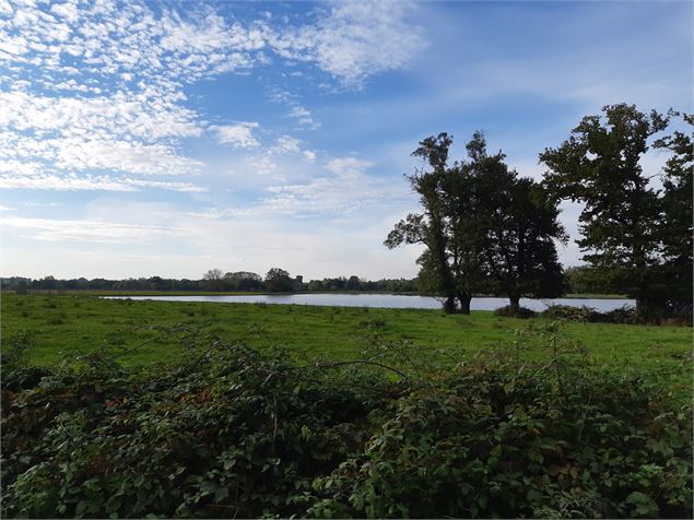 Porte de la Chartreuse de Montmerle - Voie verte - scalland