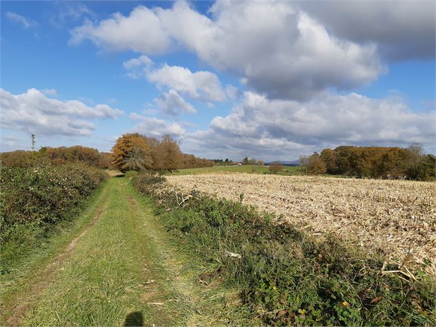 Randonnée - La Poype du Miroton et Chemin de messe - scalland