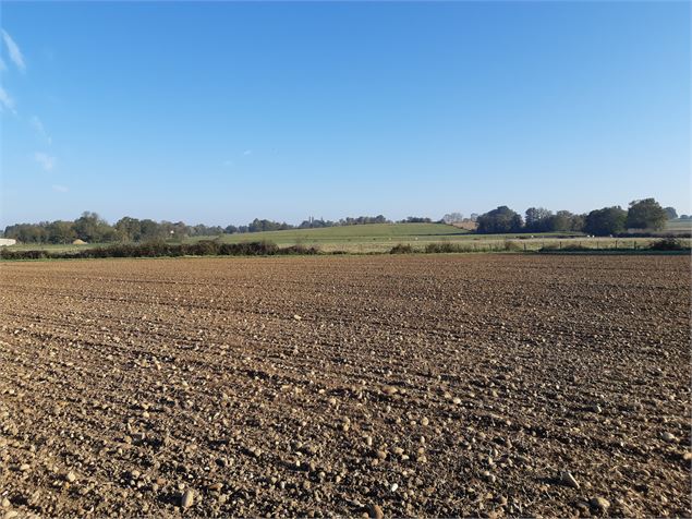 Attignat - Confluence de la Reyssouze et du Jugnon - scalland