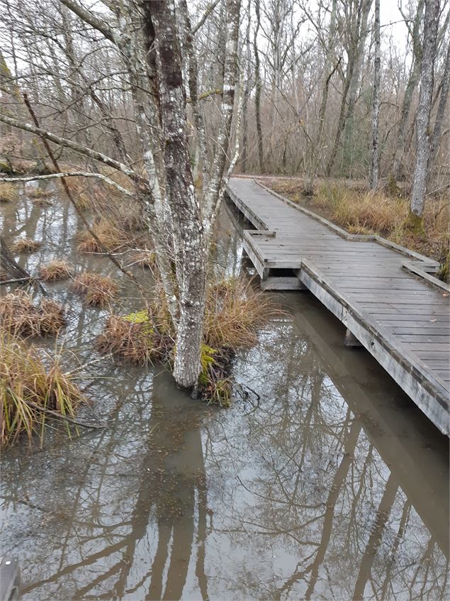 Bresse Vallons - Etangs de Bizadan et de But - Voie royale - scalland