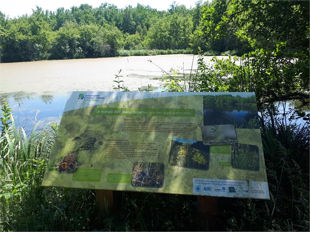 Bresse Vallons - Etangs de Bizadan et de But - Voie royale - scalland