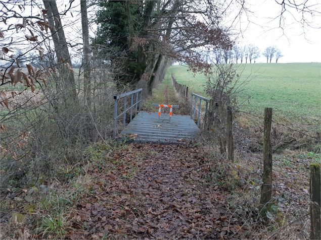 Bresse Vallons - Cras et l'étang Bizadan - scalland
