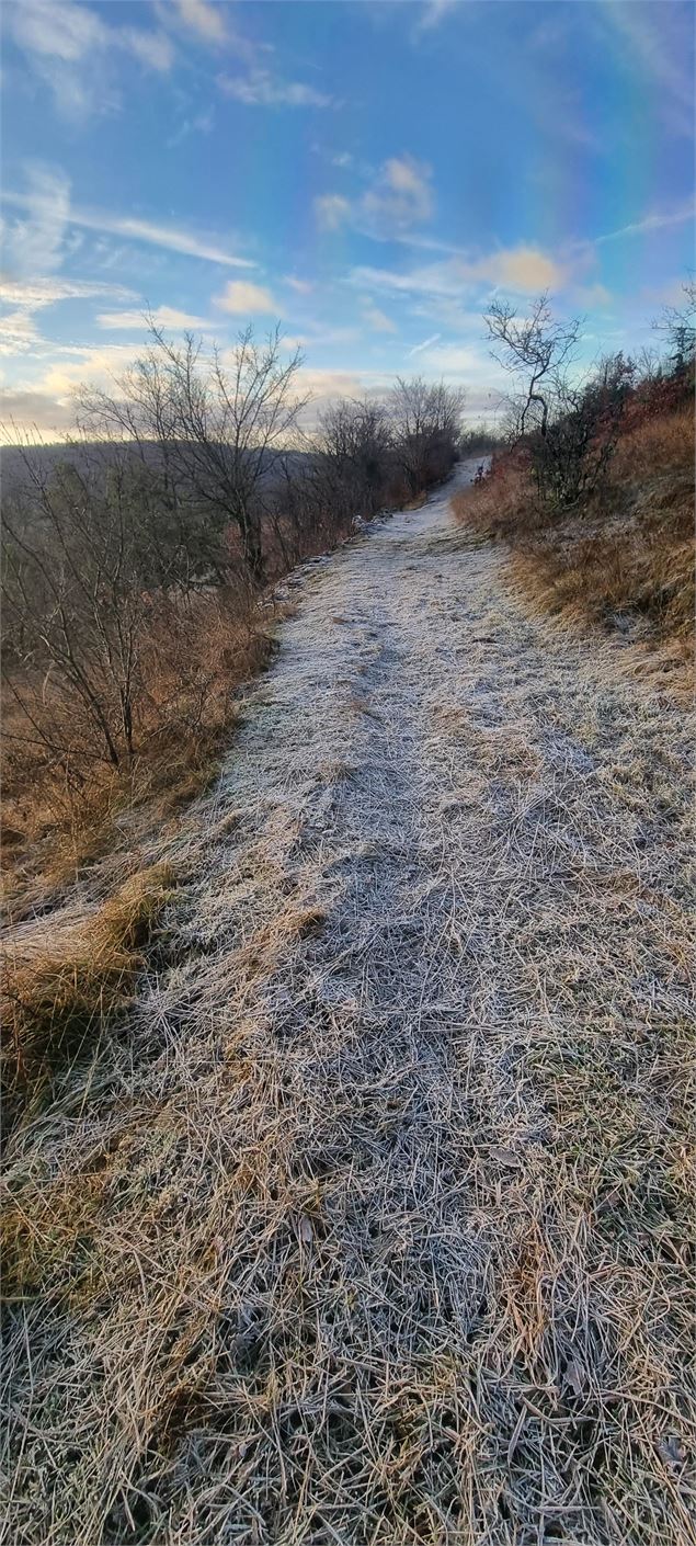 plateau de Vergongeat et du Moleron - scalland