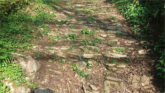 Ancienne voie vallon entre Salavre et Poisoux - scalland