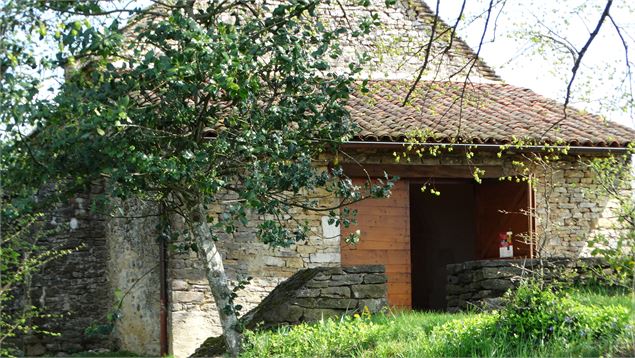 Eglise de St Rémy du Mont - scalland