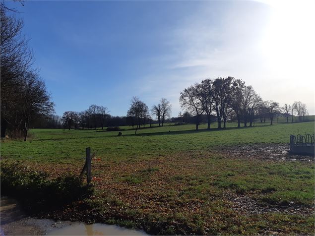 Terre de Bresse - scalland