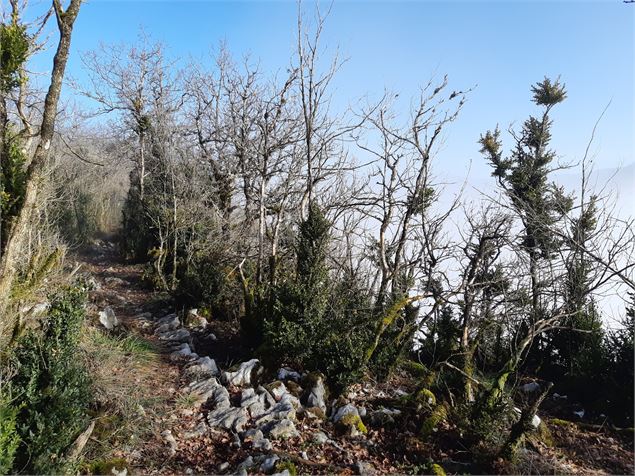 Falaise de Chatillon - scalland