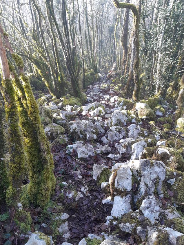 Falaise de Chatillon - scalland
