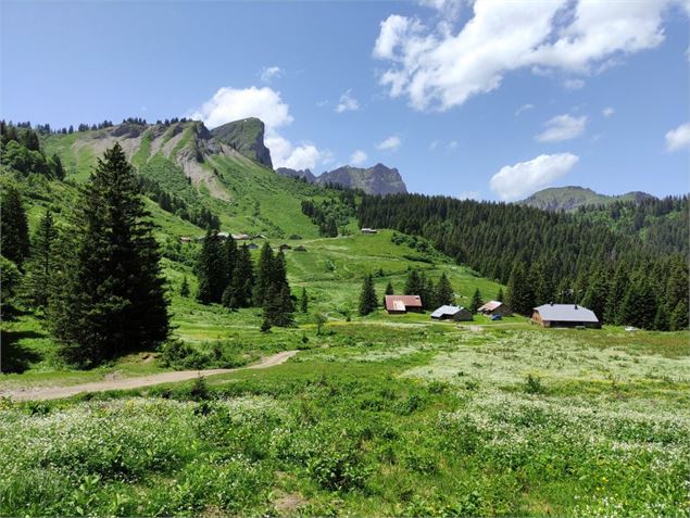 Alpage de Lens - Antoine Berger