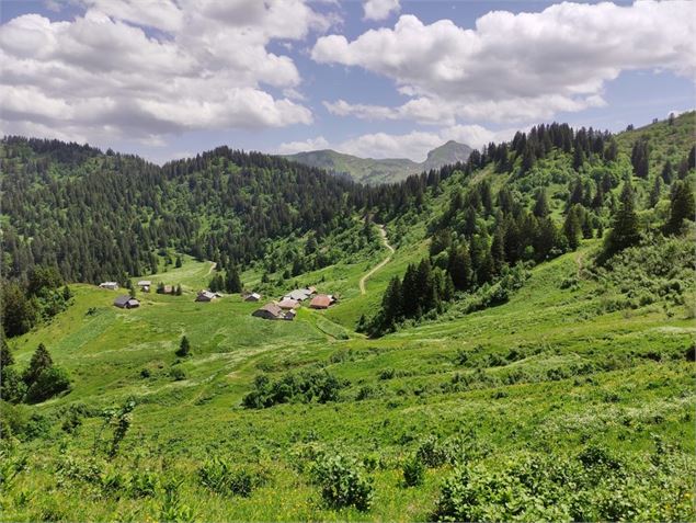 Alpage de Lens - Antoine Berger