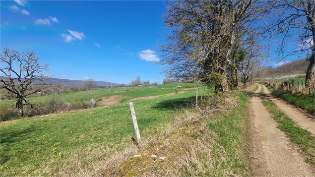 Randonnée  - Bohas et la Vallée du Suran_Bohas-Meyriat-Rignat - scalland