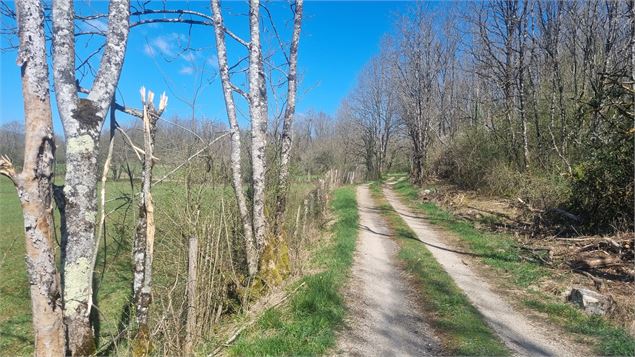 Randonnée  - Bohas et la Vallée du Suran_Bohas-Meyriat-Rignat - scalland