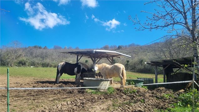 Randonnée  - Bohas et la Vallée du Suran_Bohas-Meyriat-Rignat - scalland