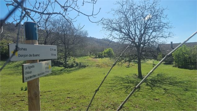 Randonnée  - Bohas et la Vallée du Suran_Bohas-Meyriat-Rignat - scalland